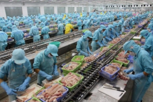 Quý II/2022: Thị trường lao động việc làm phục hồi mạnh mẽ, thu nhập bình quân được cải thiện