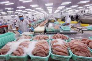 Quý 2/2022: Xuất khẩu thủy sản cả nước đạt hơn 3,2 tỷ USD
