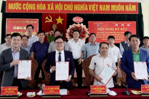 Hợp tác 4 bên, tiếp sức cho người trồng chanh dây tại Gia Lai
