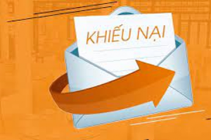Xây dựng Cơ sở dữ liệu quốc gia, giải quyết khiếu nại, tố cáo