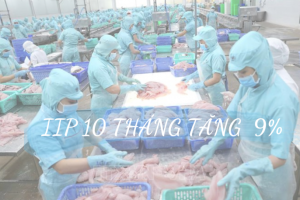 IIP 10 tháng năm 2022 ước tăng 9%