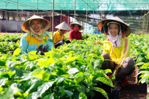 Thúc đẩy nông nghiệp tái sinh, giảm phát thải khí nhà kính và cải thiện sinh kế của nông dân
