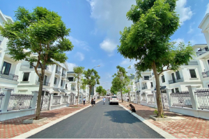 Bất động sản Nhật Nam gia tăng quỹ đất đón đầu cơ hội