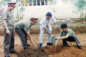 Cây bơ và hành trình về với Sơn La