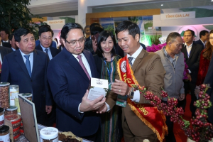 Phát triển vùng Tây Nguyên "đột phá - bao trùm - toàn diện - bền vững"