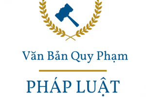 Rà soát, bãi bỏ văn bản quy phạm pháp luật thuộc thẩm quyền của Thủ tướng Chính phủ