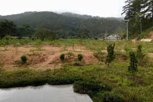 Gian nan trong hành trình đòi bồi thường đất tại Đà Lạt