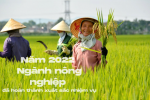 Năm 2022 ngành nông nghiệp và phát triển nông thôn đã hoàn thành xuất sắc nhiệm vụ