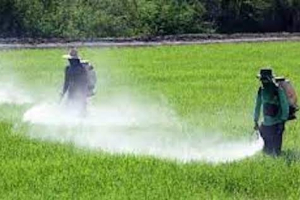 Quy định mới của EU về ngưỡng dư lượng chất trừ sâu trên thực phẩm