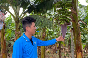 Lợi nhuận vượt kế hoạch, bầu Đức thưởng Tết đậm cho nhân viên