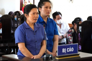 1 bị cáo tù chung thân, 1 bị cáo 17 năm tù vì tội lừa đảo gần 30 tỷ