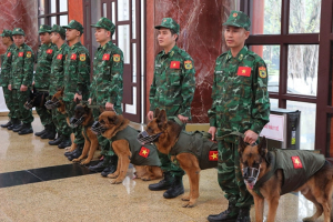 76 quân nhân tham gia cứu hộ tại Thổ Nhĩ Kỳ