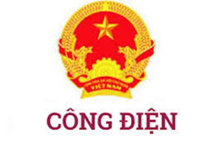 Khắc phục hậu quả vụ tai nạn giao thông đường bộ đặc biệt nghiêm trọng xảy ra tại tỉnh Quảng Nam