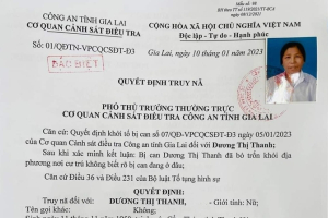 Bắt giữ cụ bà 73 tuổi chiếm đoạt gần 14 tỷ đồng