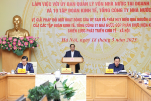 3 nguyên nhân chủ quan lớn về hạn chế của Uỷ ban và 19 tập đoàn, tổng công ty Nhà nước