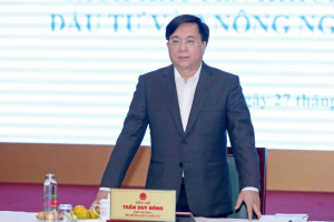Rà soát, hoàn thiện cơ chế, chính sách khuyến khích doanh nghiệp đầu tư vào nông nghiệp, nông thôn