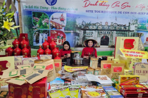 Giới thiệu du lịch Hải Dương trong khuôn khổ Hội nghị hợp tác giữa các địa phương Việt Nam - Pháp lần thứ 12