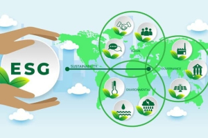 ESG - Tiêu chí bền vững doanh nghiệp