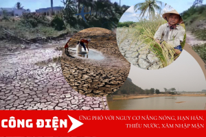 Chủ động triển khai các biện pháp cấp bách ứng phó với nguy cơ nắng nóng, hạn hán, thiếu nước, xâm nhập mặn