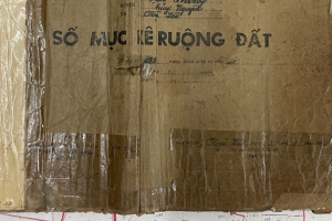 hai-phong-dat-nong-nghiep-duoc-ho-bien-thanh-dat-nghia-trang-mot-cach-ky-dieu-1621062047
