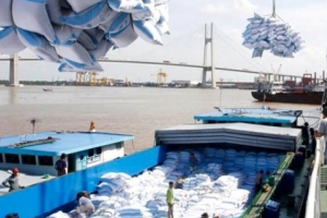 Xuất khẩu gạo duy trì đà tăng trưởng