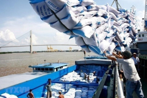 Việt Nam là nhà cung cấp gạo hàng đầu tại Philippines