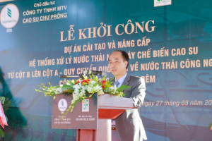 Cao su Chư Prông: Gắn sản xuất với bảo vệ môi trường, phát triển bền vững