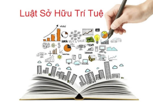 Tranh chấp quyền sở hữu trí tuệ: những nút thắt cần tháo gỡ
