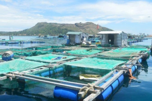 Đề nghị các địa phương tăng cường chỉ đạo nuôi trồng thủy sản các tháng cuối năm
