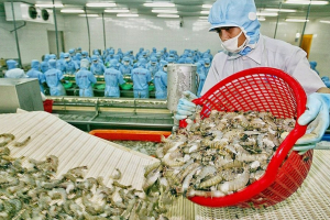 Thủy sản loay hoay vì rớt giá, kỳ vọng thị trường cuối năm