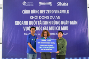 Đẩy mạnh dự án “cánh rừng Net Zero”, Vinamilk khoanh nuôi tái sinh 25ha rừng ngập mặn Cà Mau