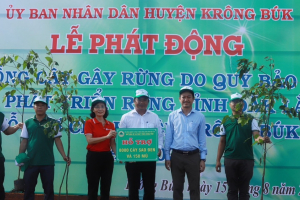 SeABank trao tặng 25.000 cây phủ xanh đất rừng tại Đắk Lắk