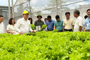 CLB Doanh nhân Thanh Hóa tại TP. Hồ Chí Minh thăm quan các doanh nghiệp thành viên