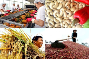 Nhiều mặt hàng nông sản xuất khẩu đạt mức giá cao