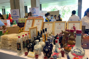 Liên kết vùng trong thương mại điện tử - “Đòn bẩy” thúc đẩy tối ưu hóa tài nguyên và phát triển kinh tế bền vững