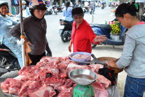 Hơn 4.000 con heo nghi bị tiêm thuốc an thần: Xem xét trách nhiệm của thú y