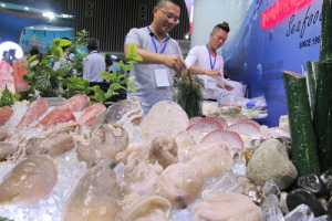 Bị EU phạt