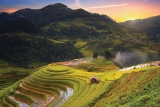 Trải nghiệm cùng Oriental Transport