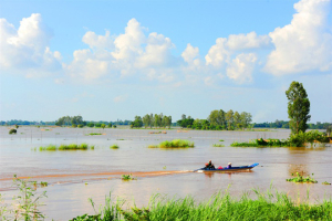 Cận cảnh