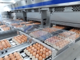 Nông nghiệp 4.0: Áp dụng một cách linh hoạt và phù hợp!
