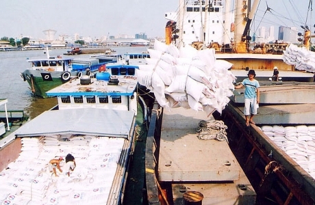 Gạo Việt vượt mặt gạo Thái vì đi đúng đường