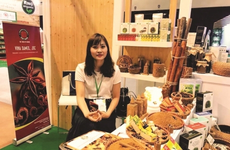 Những người xây thương hiệu Quế, Hồi Việt Nam xứng tầm thế giới
