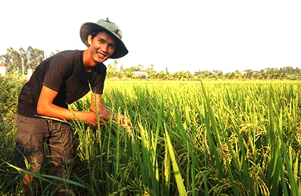 Hành trình làm ra hạt gạo sạch của ông chủ 9x