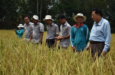 Lộc Trời giúp nông dân giám sát cánh đồng qua vệ tinh