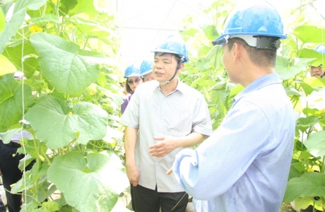 BR-VT: Hơn 1.000 ha sản xuất nông nghiệp ứng dụng công nghệ cao