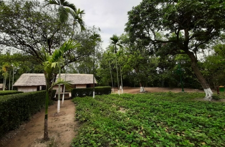 Tháng 5 trên quê hương Bác Hồ