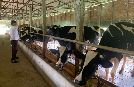 Chuyến xe xuyên Việt 20 năm trước, quê nghèo đổi đời thành làng tỷ phú