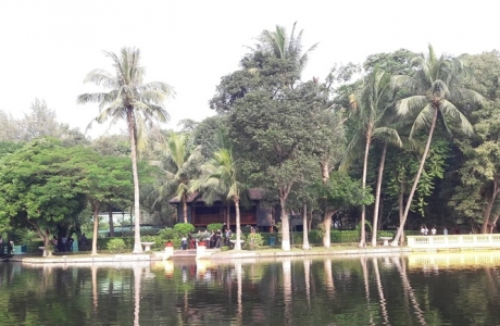 60 năm Chủ tịch Hồ Chí Minh phát động Tết trồng cây