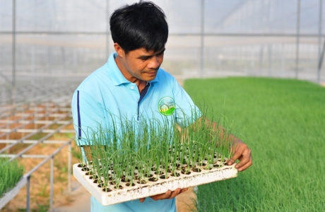 Nông nghiệp hữu cơ hội nhập thị trường