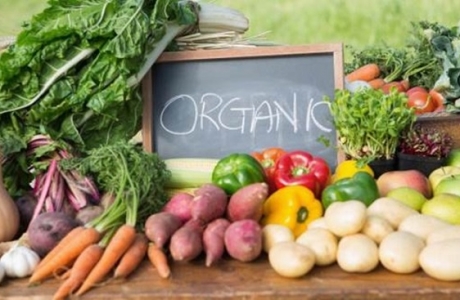 Thực phẩm organic - an toàn cho người sử dụng
